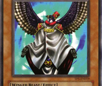 Winged Sage Falcos [TP5-EN019] Common Discount